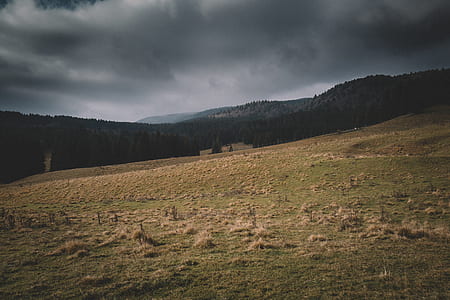 landscape photography of open field at daytime thumbnail