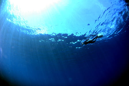 low angle photography of person in black wet suit swimming on body of water thumbnail