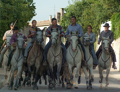 people riding horses during daytime thumbnail