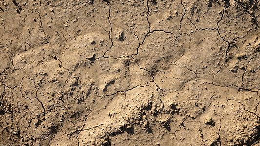 crack brown soil thumbnail