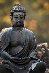 Gautama Buddha statue thumbnail