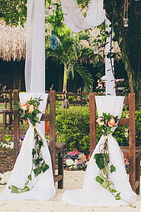 Orange Petaled Flowers on Chairs thumbnail
