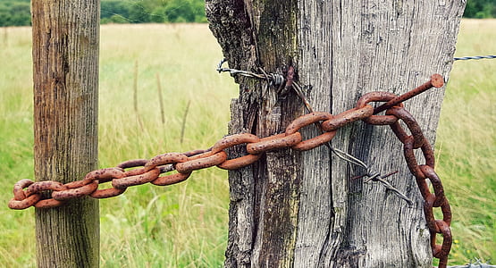 rusted brown chain on tree thumbnail