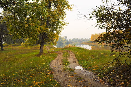 pathway near trees thumbnail