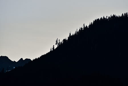 tree covered mountain under white sky thumbnail