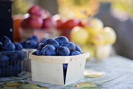 blueberries on beige container in selective-focus photography thumbnail