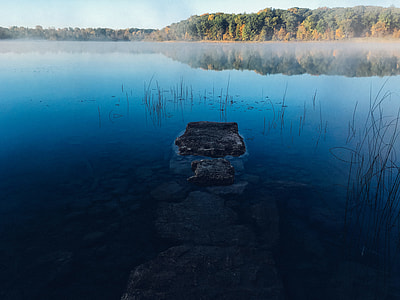 body of water near trees under blue sky at daytime thumbnail