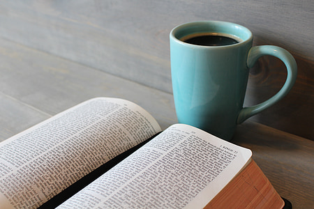 teal ceramic mug near white book thumbnail