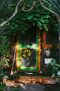green wooden door covered by green leaves thumbnail