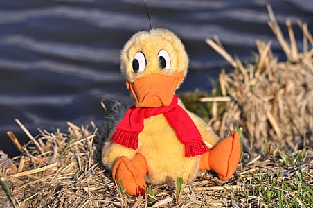 yellow duck plush toy on grass field thumbnail