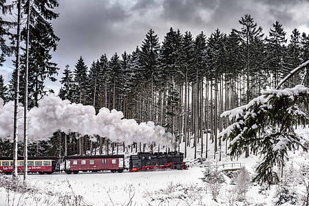 red and black Steam locomotive crossing pine trees coated with snow thumbnail