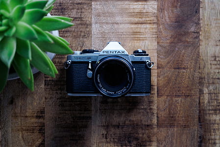 black and gray Pentax camera near green succulent plant thumbnail