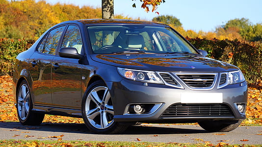 Silver Sedan Near Green Plants during Daytime thumbnail
