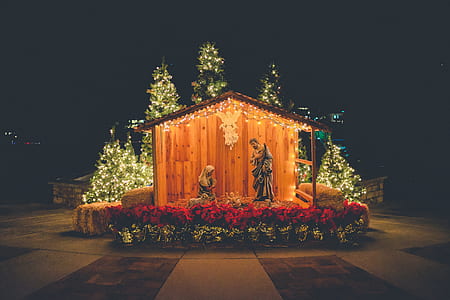 nativity scene thumbnail