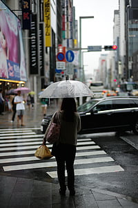 woman standing under umbrella beside pedestrian lane with car on road screenshot thumbnail