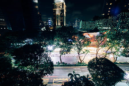green trees on road during night time thumbnail