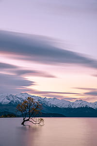 lone tree in the middle of body of water in distant of mountain alps thumbnail