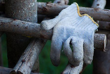 white sock on tree branch thumbnail