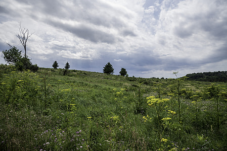 Heavy clouds over the grassland at Goose Lake Wildlife Area thumbnail