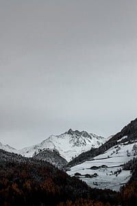 snow covered mountain and trees thumbnail
