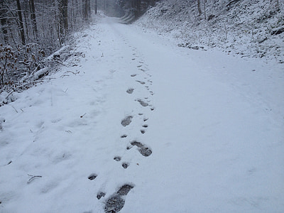 footprints on the snow thumbnail