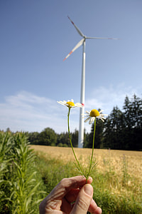 Environmental Protection, Wind Power thumbnail