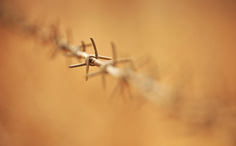 selective focus on barbwire thumbnail