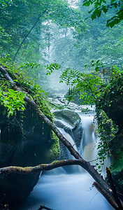time lapse photography of streaming river in forest thumbnail