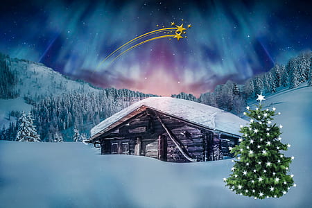 house covered with snow graphic thumbnail