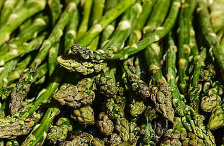 green strip plants thumbnail