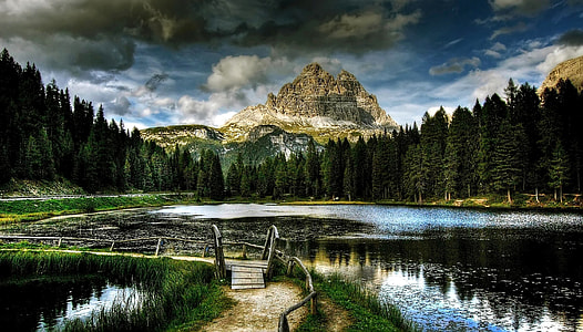 body of water surrounded by tall trees thumbnail