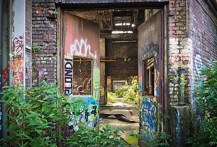 brown steel door beside green plant thumbnail