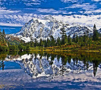 body of water with trees on side digital wallpaper thumbnail