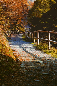 brown wooden rail at side of the road thumbnail