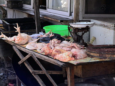 raw chickens thumbnail