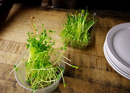 leafy greens on bowls thumbnail