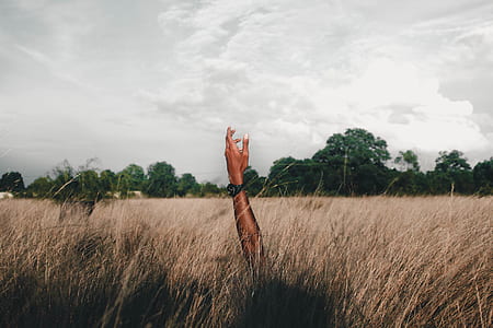 person raising left hand on beige grass field during daytime thumbnail