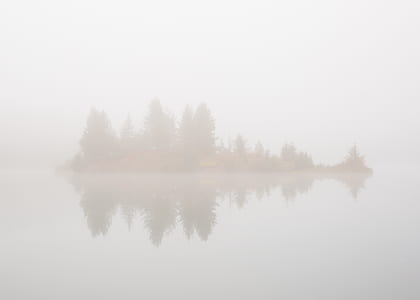 foggy island with trees thumbnail
