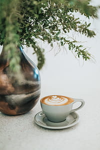 green plant with vase near coffee latte thumbnail