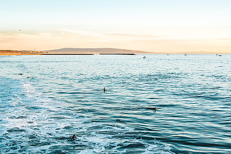 group of person swimming on body of water thumbnail