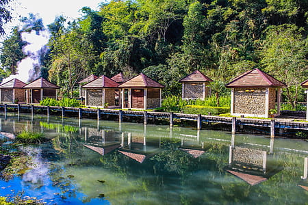 Kiosks Near Calm Body of Water Surrounded by Tall Trees at Daytime thumbnail