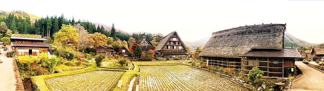 Farm Field Surrounded by Houses thumbnail