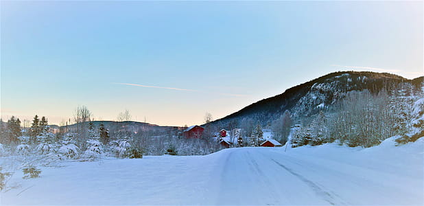 Mountains With Snow and Trees at Daytime thumbnail