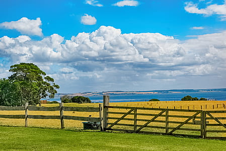 Brown Wooden Fence Across Crop Field Near Body of Water thumbnail