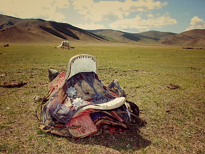 horse saddle on grass field thumbnail