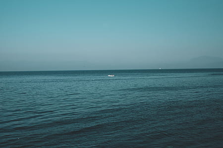 seashore under blue sky thumbnail