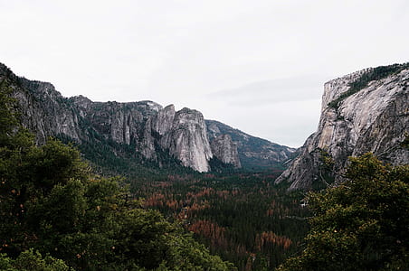 mountain and forest thumbnail