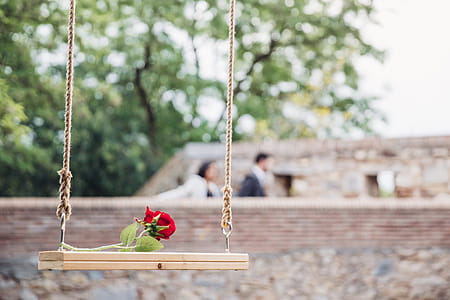 Romantic Rose On Swing Photo thumbnail