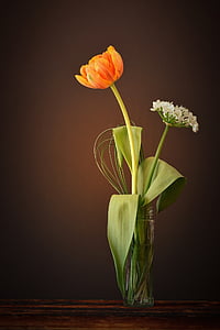 orange petaled flower on glass vase thumbnail