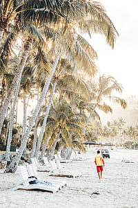 man standing on sand near trees thumbnail